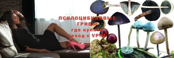 стафф Горнозаводск
