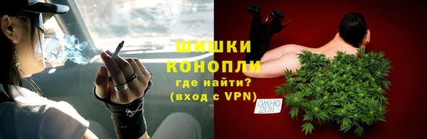 стафф Горнозаводск
