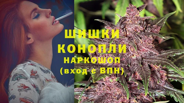 стафф Горнозаводск