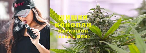 стафф Горнозаводск