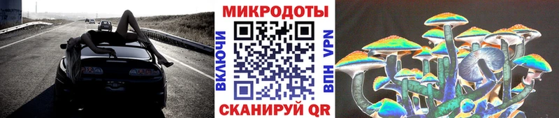 Купить где  Купино  Псилоцибиновые грибы Cubensis 